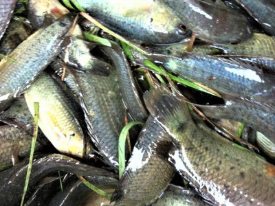 Vì sao nhiều người than thời buổi này 