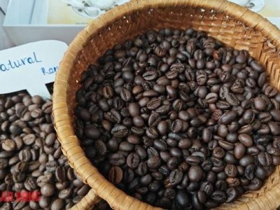 Giá cà phê hôm nay 4-4: Áp lực tâm lý