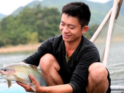 Những chàng trai trẻ người Thái nuôi cá trên lòng hồ thủy điện