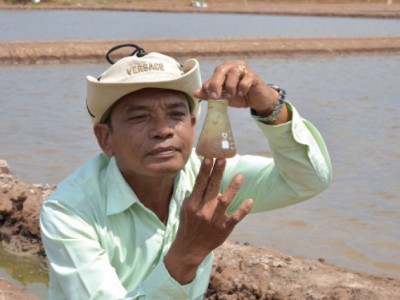 Tiềm năng mới trên vùng ngập mặn