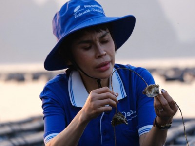 Doanh nghiệp mong cơ chế tín dụng ưu đãi riêng cho nuôi biển công nghệ cao