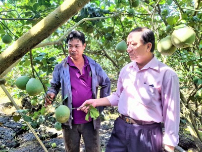 Vùng đất này ở Đồng Nai xưa nghèo rớt nay đổi đời nhờ trồng cây trái đặc sản, có nhà lời hơn 1 tỷ/năm