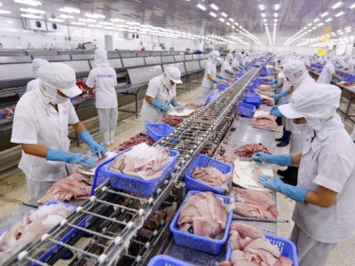 Thứ trưởng Bộ NNPTNT: Liên kết 9 hiệp hội để nâng tầm ngành thủy sản