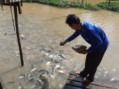 Ban hành kế hoạch phát triển thủy sản 2021 - 2030