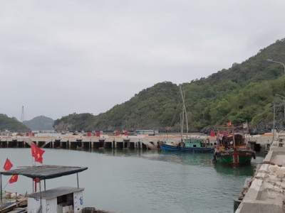 Chuyển mọi hoạt động cảng cá Cát Bà về cảng cá Trân Châu