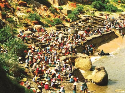 Mực Duồng ở Bình Thuận là tên một loài cá mực đặc sản hay đơn giản chỉ là một vùng biển?