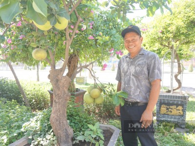 Bỏ lái xe tải về quê ở Đà Nẵng trồng cây cảnh, vườn đẹp như phim, chậu hoa giấy thế này mê là đúng rồi