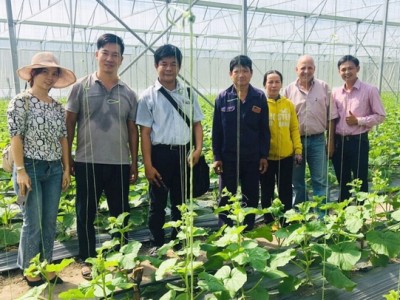 “Bệ đỡ” mô hình kinh tế tập thể ở Bình Dương