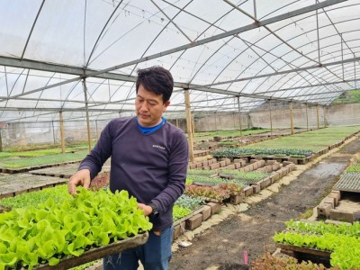 Khi trí tuệ nhân tạo (AI) soi từng gốc cây 