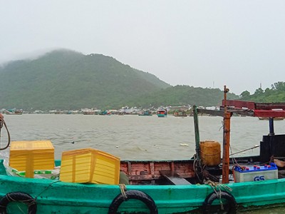 Hòn đảo ở Kiên Giang có hòn đá khổng lồ, vô số cua, ghẹ, sao người khen hay, kẻ lại kêu hơi buồn?