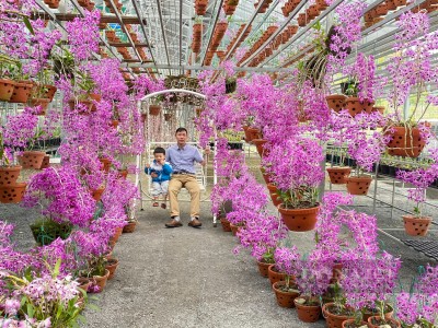 Trồng lan rừng đẹp như phim, phát lộ ra vô số hoa lan đột biến, thầy giáo Lai Châu khiến dân mạng sốt sình sịch