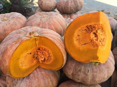 Loại quả được cho là ăn vào giúp “trường sinh bất lão”, Đông y tôn là vị thuốc quý