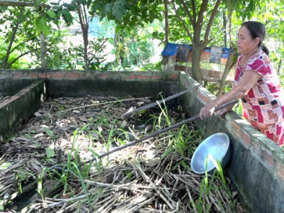 Nuôi lươn đặc sản trên cạn, nông dân vùng này ở Đồng Tháp chán nản vì giá lươn cứ tụt dốc không phanh