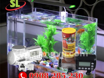 Máy Cho Cá Ăn Tự Động Là Gì? Tác Dụng Và Lợi Ích Khi Dùng - Mua Máy Cho Cá Ăn Tự Động Ở Đâu Tốt?  