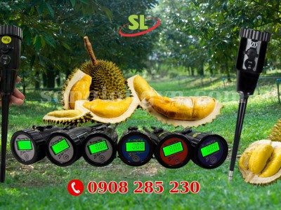 Công Dụng Của Canxi-Magie-Bo-Kẽm Đối Với Sầu Riêng Trong Từng Giai Đoạn Và Cách Kiểm Soát Hiệu Quả