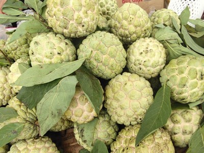 Thưởng thức trái na 