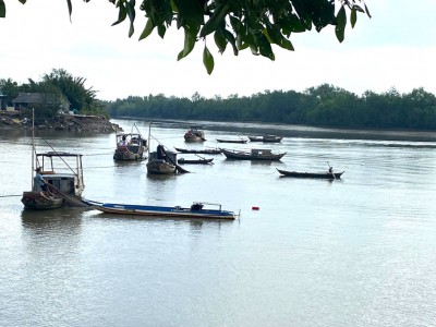 Cá, tôm dưới dòng sông Hàn 