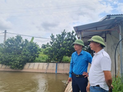 Ba ông nông dân cùng xã ở Thái Bình ra bãi hoang nuôi gà, thả cá và trở thành nông dân Việt Nam xuất sắc