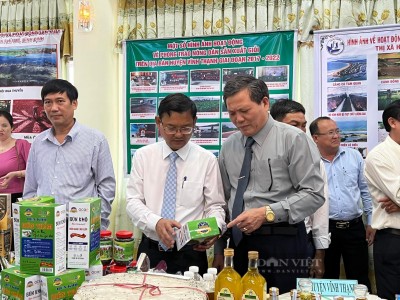 Nông dân Bình Định vượt khó, giúp nhau làm giàu