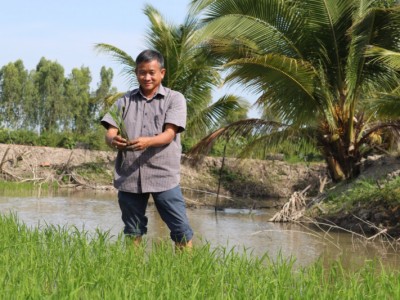 Ruộng lúa của nhà ông nông dân Đồng Tháp trồng kiểu gì mà dưới mương lại xuất hiện nhiều cá đồng đến thế?