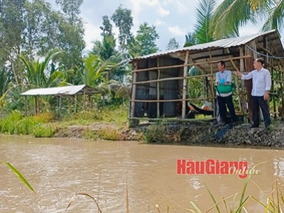 Ông nông dân Hậu Giang nuôi loài cá gì trên ruộng lúa mà nhiều người tò mò muốn xem?
