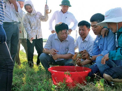 Nguyên tắc khi nuôi ghép tôm với các đối tượng khác