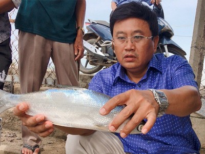 Cá chua nuôi với tôm, cua, ngỡ 