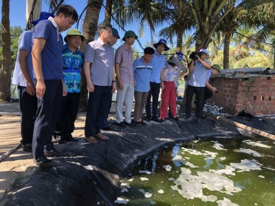 Nuôi tôm công nghệ cao ở Bắc Trung Bộ, nhiều mô hình thu tiền tỷ