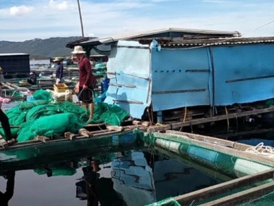 Người dân nuôi trồng thuỷ sản Khánh Hoà không chủ quan trước mùa mưa bão