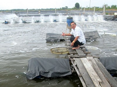 Những “kiện tướng” nuôi tôm