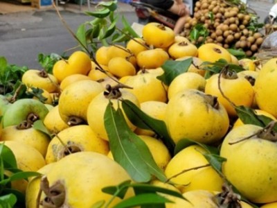 Loại quả chỉ để ngửi chứ không để ăn giúp chủ hàng thu tiền triệu mỗi ngày