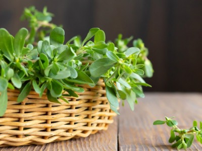 Loại rau mọc dại ven đường không ngờ lại là 