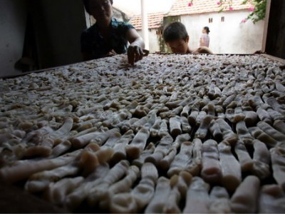 Đào loài đặc sản 