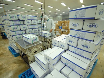 Sôi động thị trường cá tra