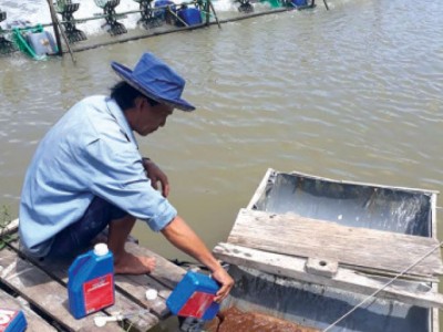 Những lưu ý sử dụng men vi sinh hiệu quả