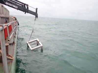 Lạ chưa, ở tỉnh Cà Mau có chuyện 