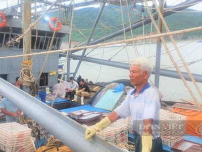 Xăng dầu tăng giá, tàu cá nằm bờ: Lãi chẳng thấy đâu, ngư dân Hà Tĩnh còn bù lỗ 100 triệu/tháng (Bài 6)