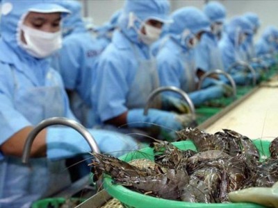 Toàn cầu lên cơn sốt, Việt Nam trở thành quốc gia xuất khẩu thủy sản lớn thứ ba thế giới