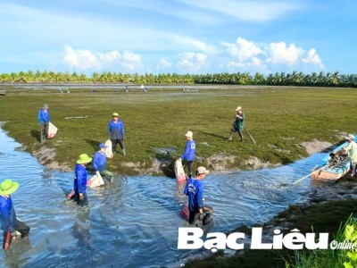 Nuôi tôm càng xanh trong ruộng, cứ 1ha nông dân Bạc Liêu lãi 70 triệu 