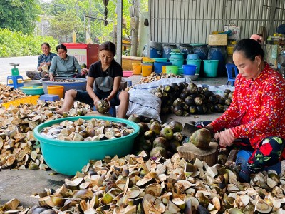 Loại quả ngon ở An Giang ăn vào mạnh gân cốt, hỗ trợ hạ sốt, dân làm bao món lạ mắt, lạ miệng, hút khách