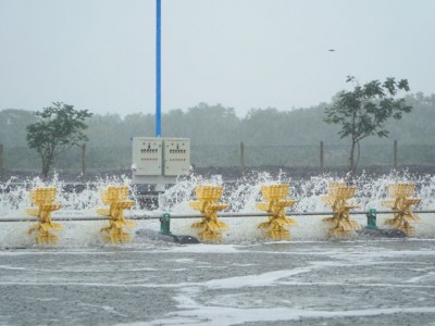 CHO TÔM ĂN KHI TRỜI MƯA: SAI LẦM NHỎ, RỦI RO LỚN