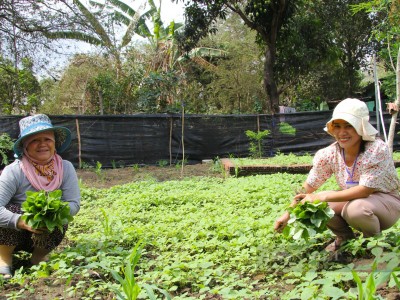Mỗi nhà một vườn rau, vùng đồng bào dân tộc Raglai ở Ninh Thuận, người khỏe, làng xanh, sạch, đẹp