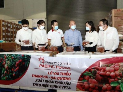 Vắng khách, khoang máy bay chất đầy một loại nông sản của Việt Nam chở thẳng sang Nhật Bản bán giá cao