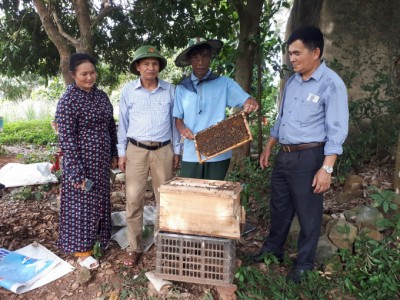 'Thủ lĩnh ong mật' xã Hoạt Giang