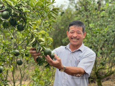 Nông dân Đồng Nai dùng chế phẩm IMO biến rác thành phân bón, tiết kiệm hàng trăm triệu mỗi năm