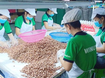 Một loại hạt của Việt Nam được ví như thực phẩm 