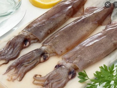 Hàn Quốc thích ăn loài thân mềm 