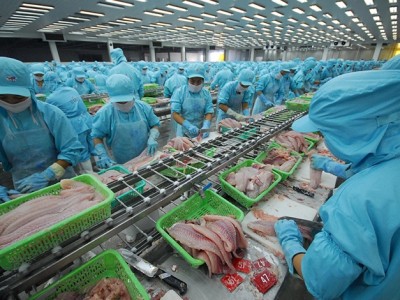 Thủy sản Việt Nam tăng tốc sản xuất, đẩy mạnh xuất khẩu