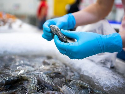 Giá tôm Việt Nam xuất khẩu sang Mỹ ở mức cao