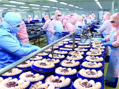 Vượt Mỹ, Trung Quốc trở thành thị trường mua nhiều nhất một loài thủy sản của Việt Nam